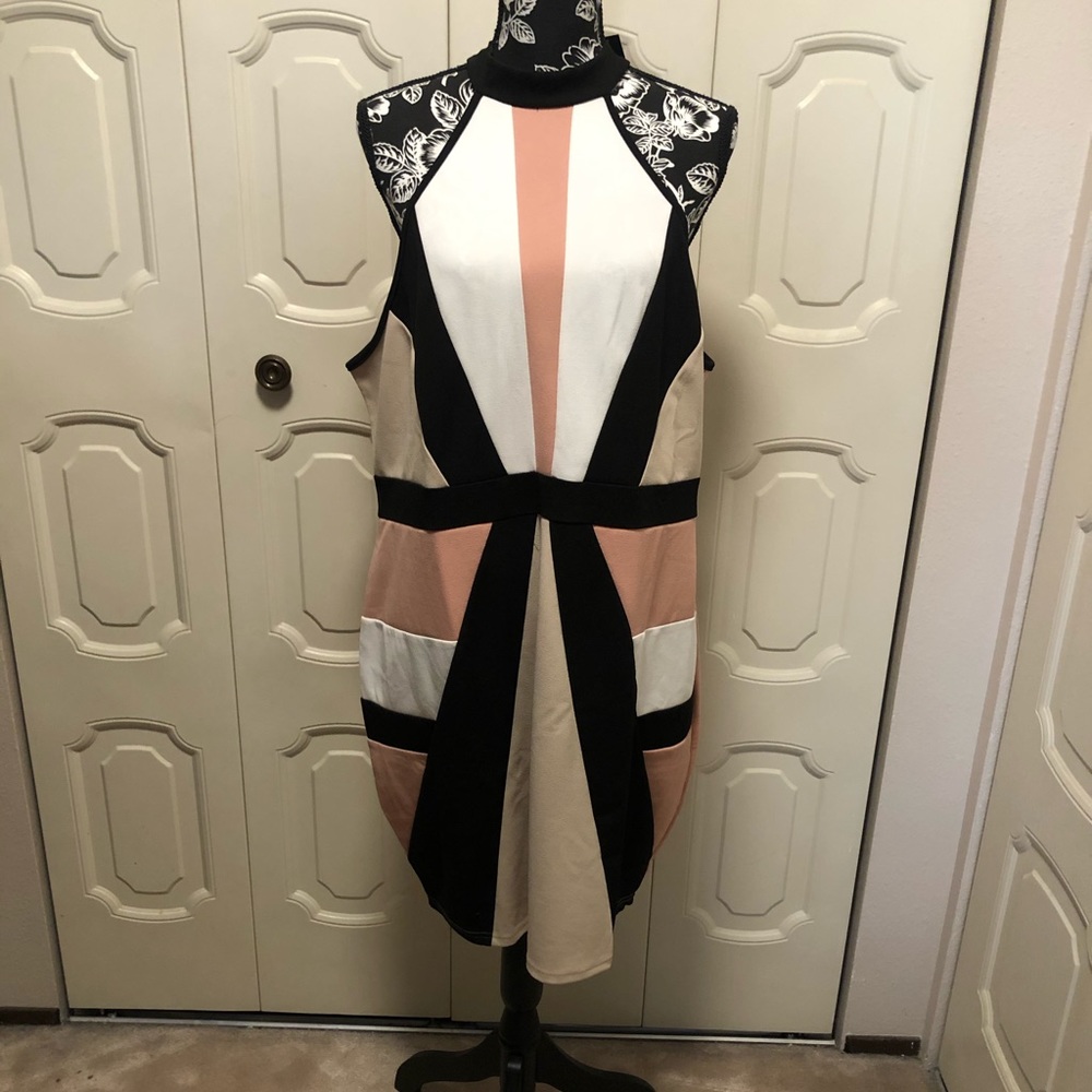 Fashion Nova dress.